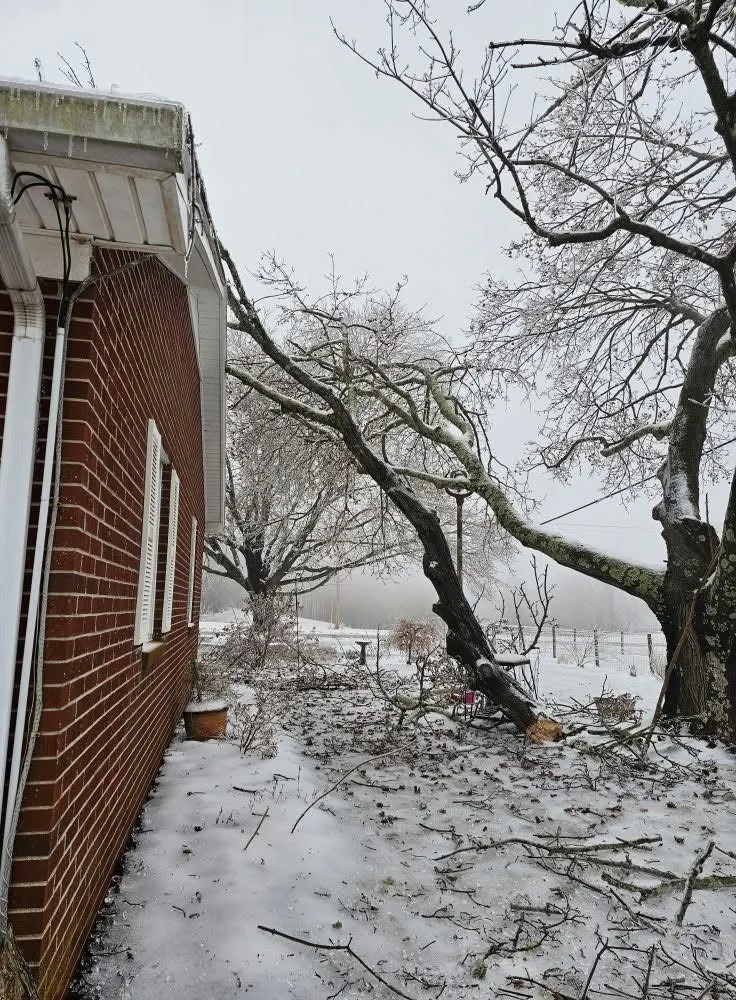 Professional yard cleanup service with custom design in Blacksburg, VA by Ridge-Top Conservation