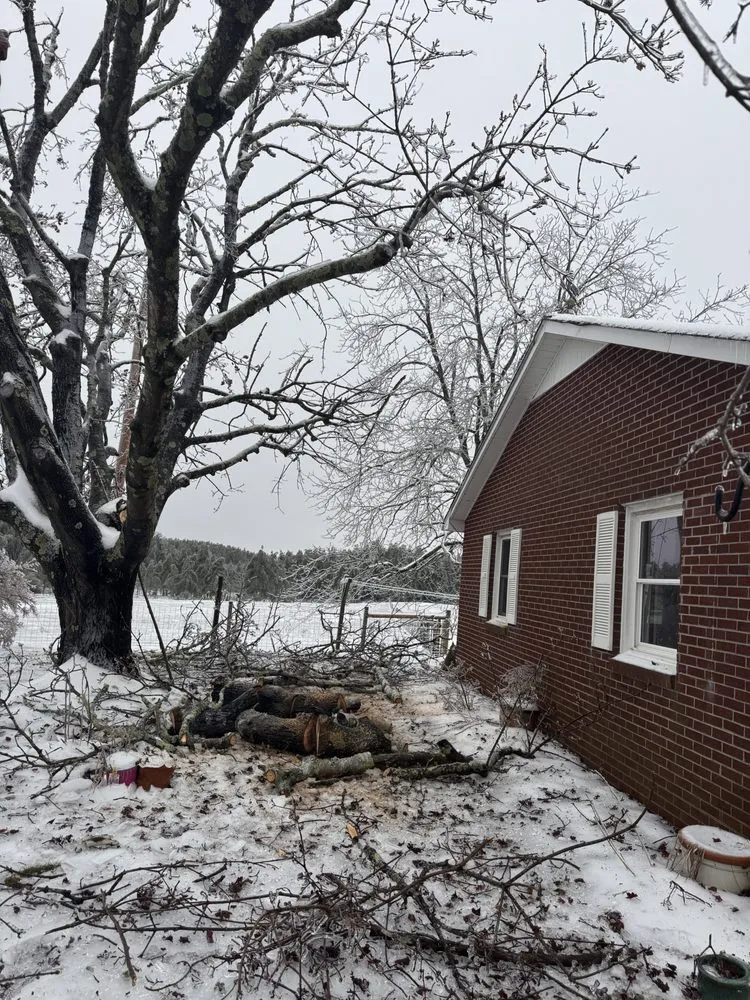 Professional landscape design experts serving Blacksburg, VA - Ridge-Top Conservation