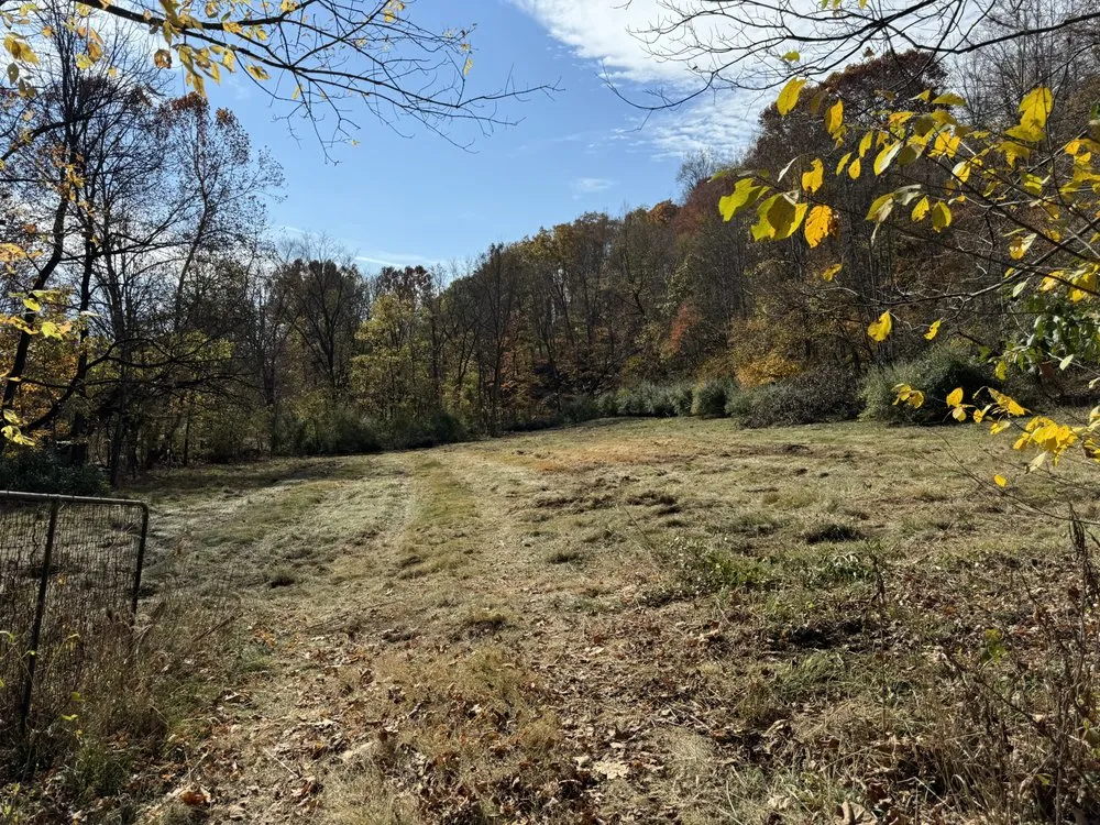 Top-rated yard cleanup service for beautiful yards across Blacksburg, VA - Ridge-Top Conservation
