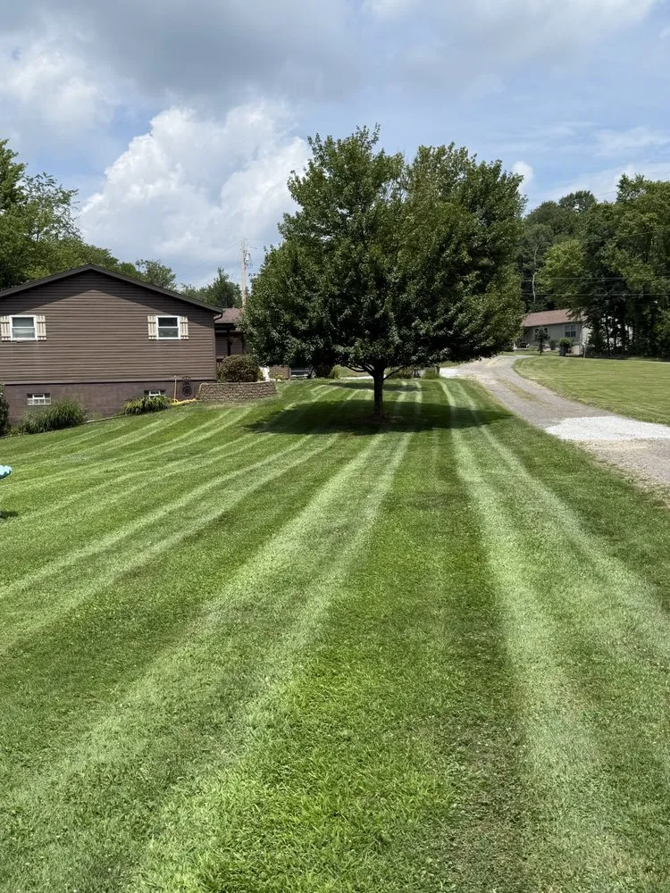 Affordable landscaping services for outdoor upgrades in New Cumberland, WV by Ridge View Land Management