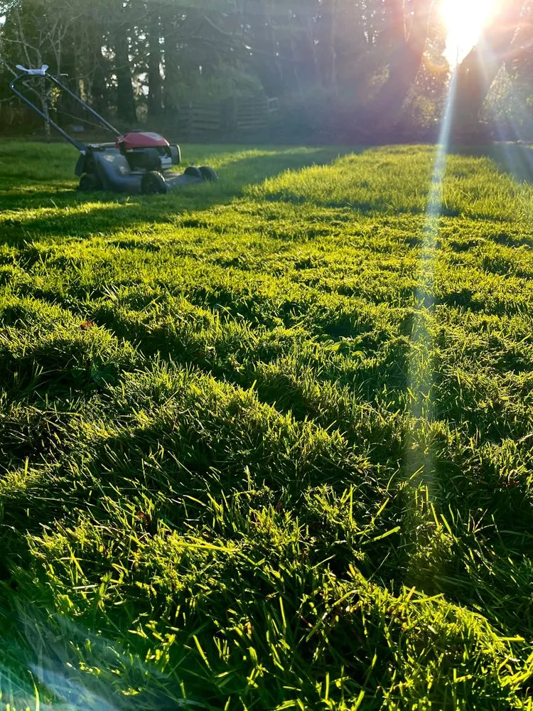 Local outdoor landscaping experts serving Corvallis, OR - Ridgeback Lawn Care