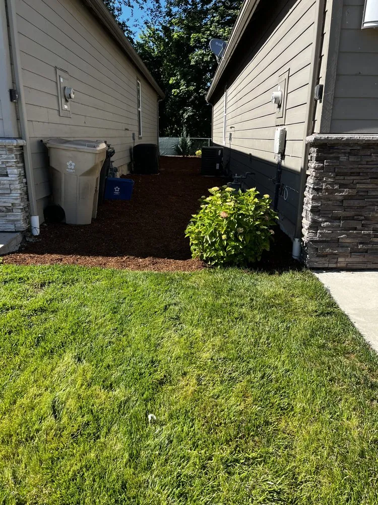 Local yard cleanup service in Corvallis, OR - Ridgeback Lawn Care