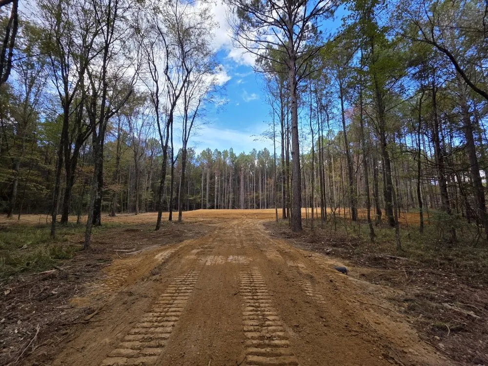 Top-rated landscaping services for beautiful yards across Ridgeland, MS - Ridgeland Land Management