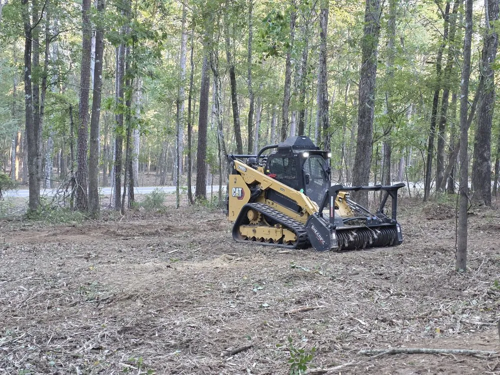 Affordable yard cleanup service in Ridgeland, MS by Ridgeland Land Management
