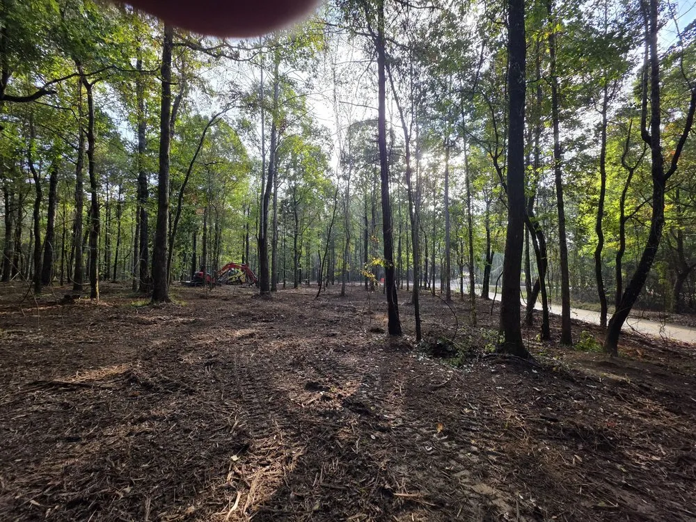 Reliable residential landscaping for residential properties across Ridgeland, MS - Ridgeland Land Management