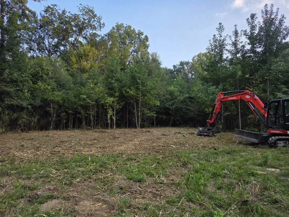 Local residential landscaping for residential properties across Ridgeland, MS - Ridgeland Land Management