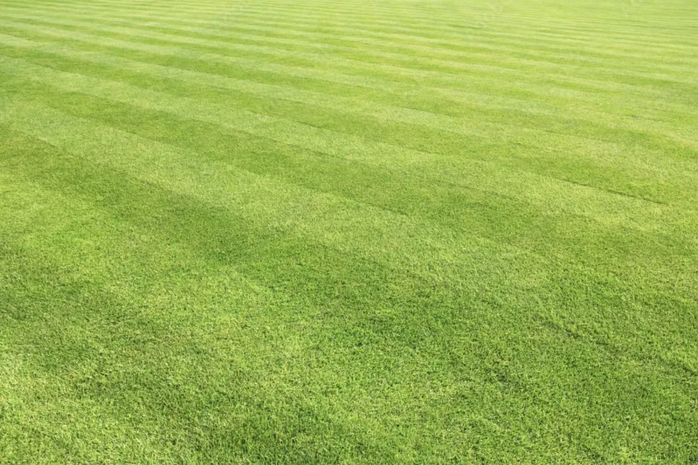 Expert landscaping services in Park Ridge, IL - Ridgeland