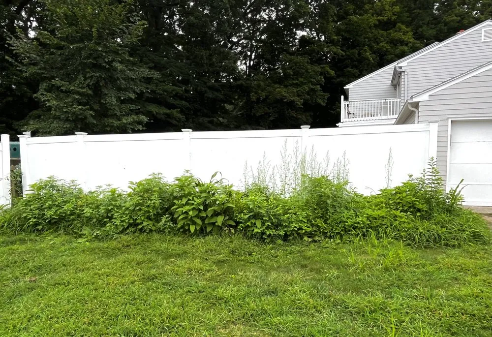 Reliable outdoor landscaping in East Longmeadow, MA - Ridgeline Landscaping