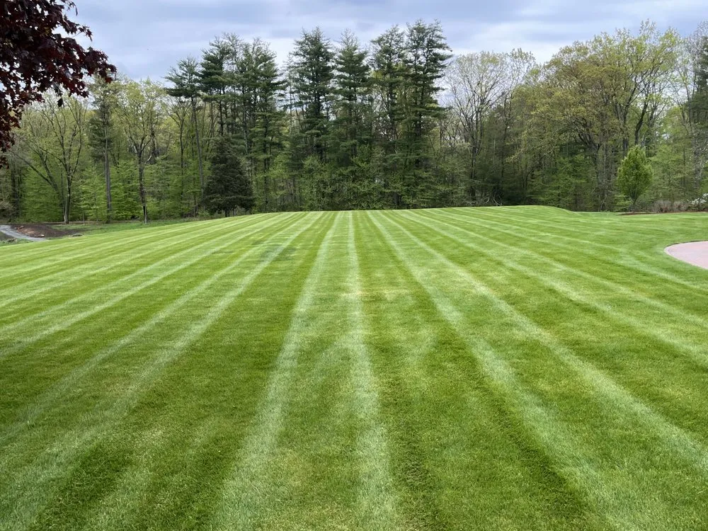 Affordable landscape installation in East Longmeadow, MA - Ridgeline Landscaping