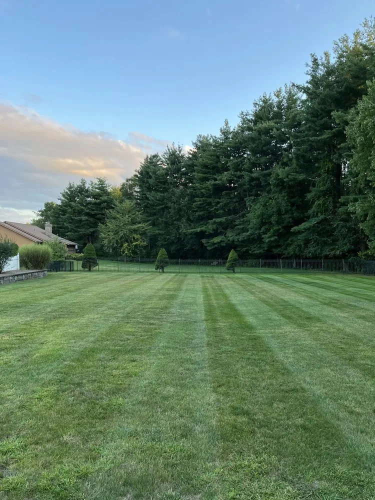 Top-rated yard maintenance in East Longmeadow, MA by Ridgeline Landscaping