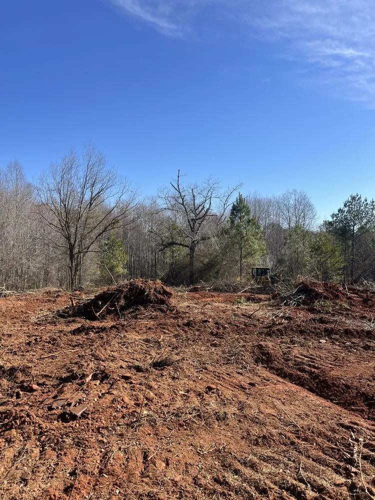 Affordable landscaping services for outdoor upgrades across Beaufort, SC - Ridgeline Services