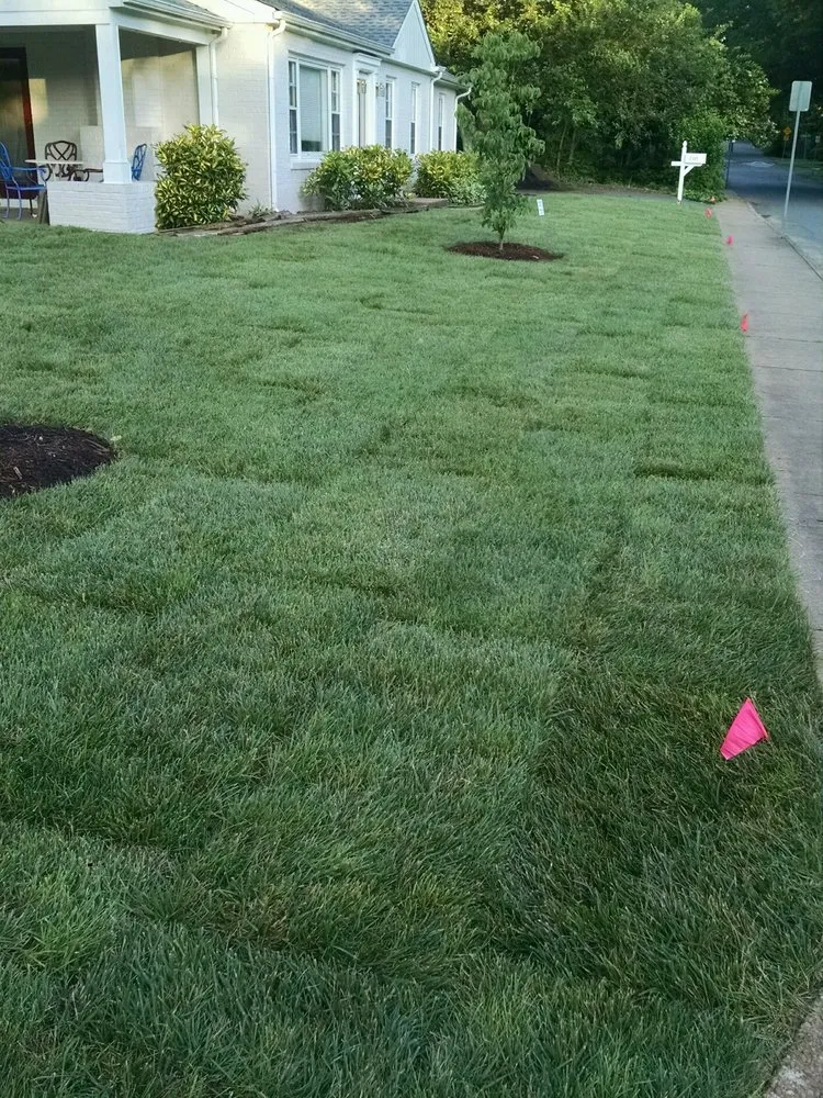 Affordable yard maintenance in Charlottesville, VA - Ridgeline Turf