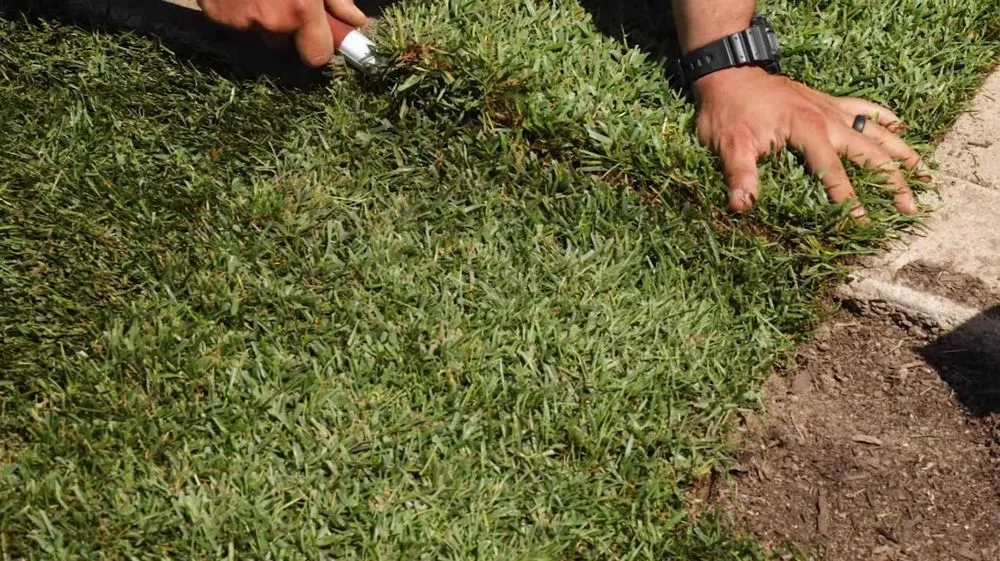 Professional landscaping services for residential properties across DeSoto, TX - Ridgepro Desoto Landscaping