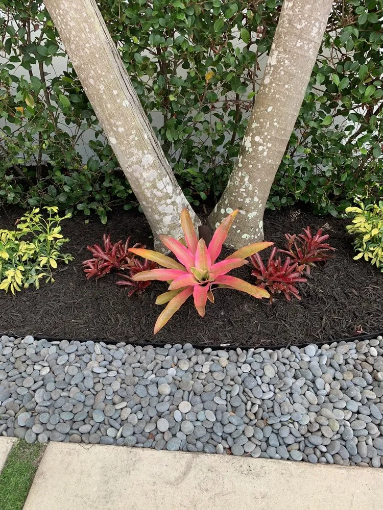 Local residential landscaping in Davie, FL by Ridge's Landscaping & Lawn Service