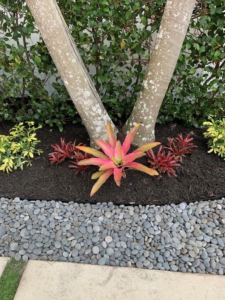 Trusted yard maintenance for beautiful yards in Davie, FL by Ridge's Landscaping & Lawn Service