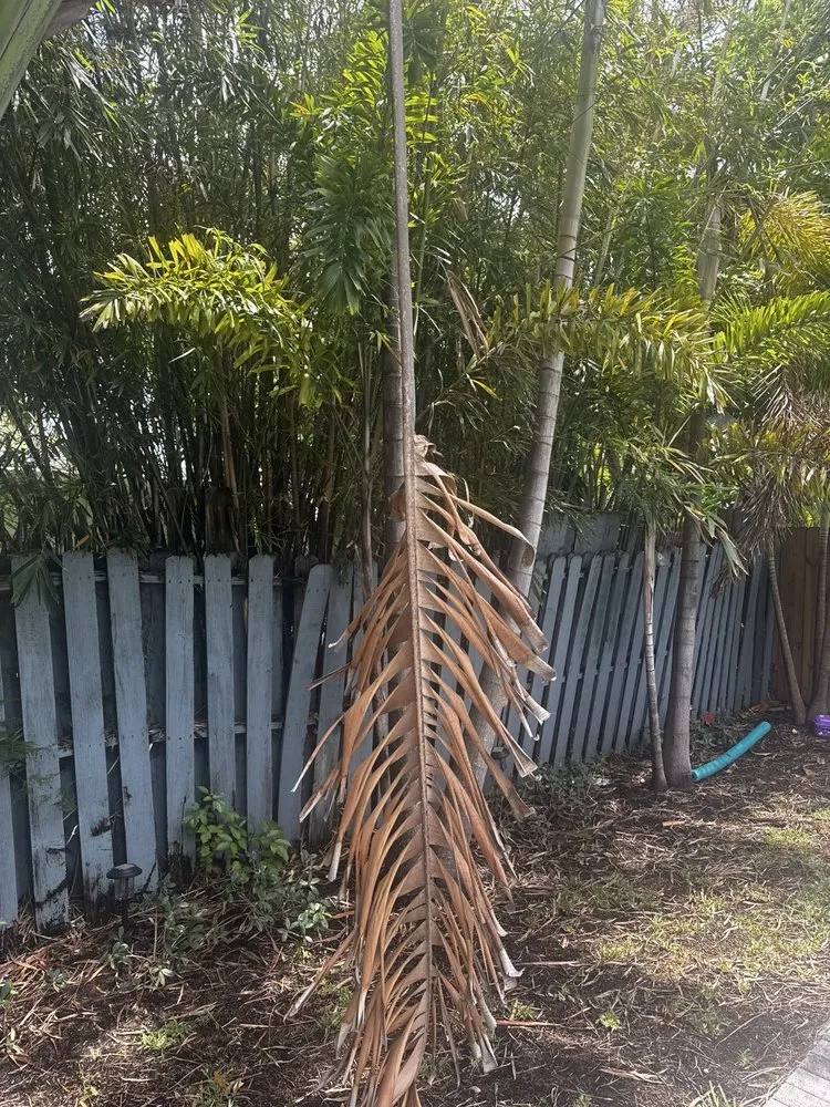 Reliable yard maintenance near you in Davie, FL by Ridge's Landscaping & Lawn Service