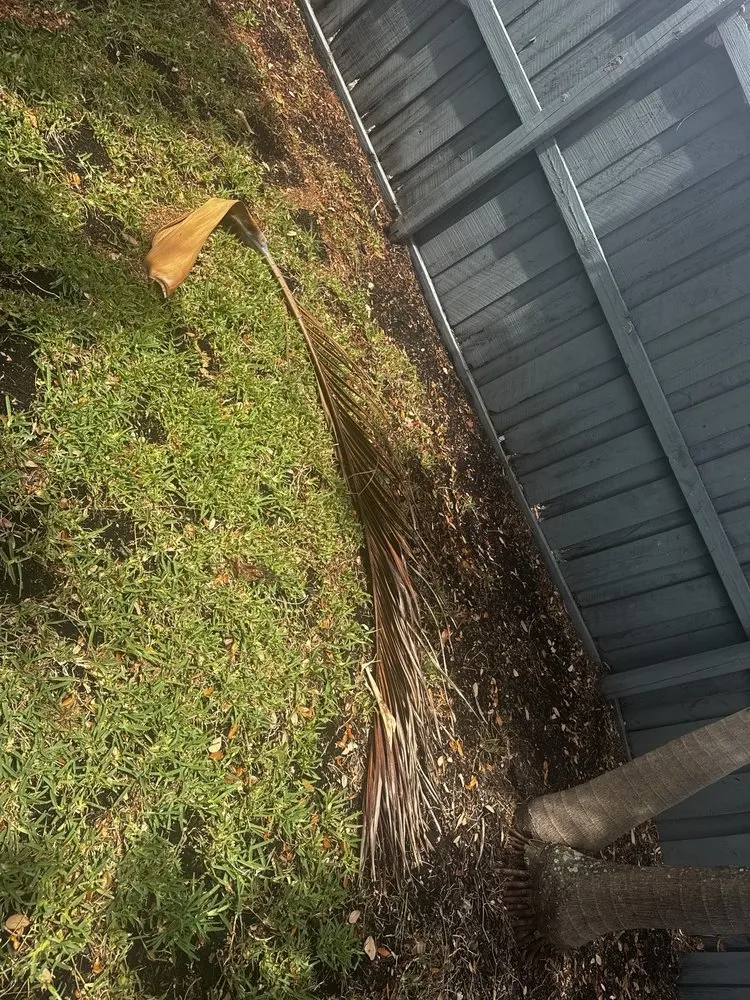 Affordable yard cleanup service for year-round maintenance across Davie, FL - Ridge's Landscaping & Lawn Service