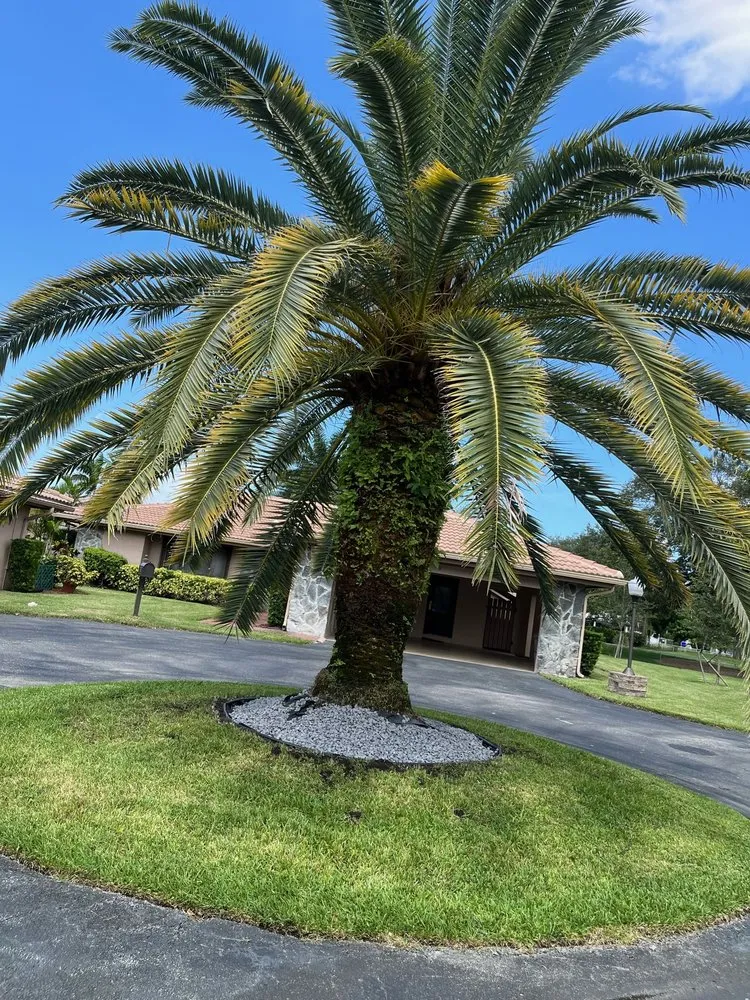 Reliable landscape design for beautiful yards across Davie, FL - Ridge's Landscaping & Lawn Service