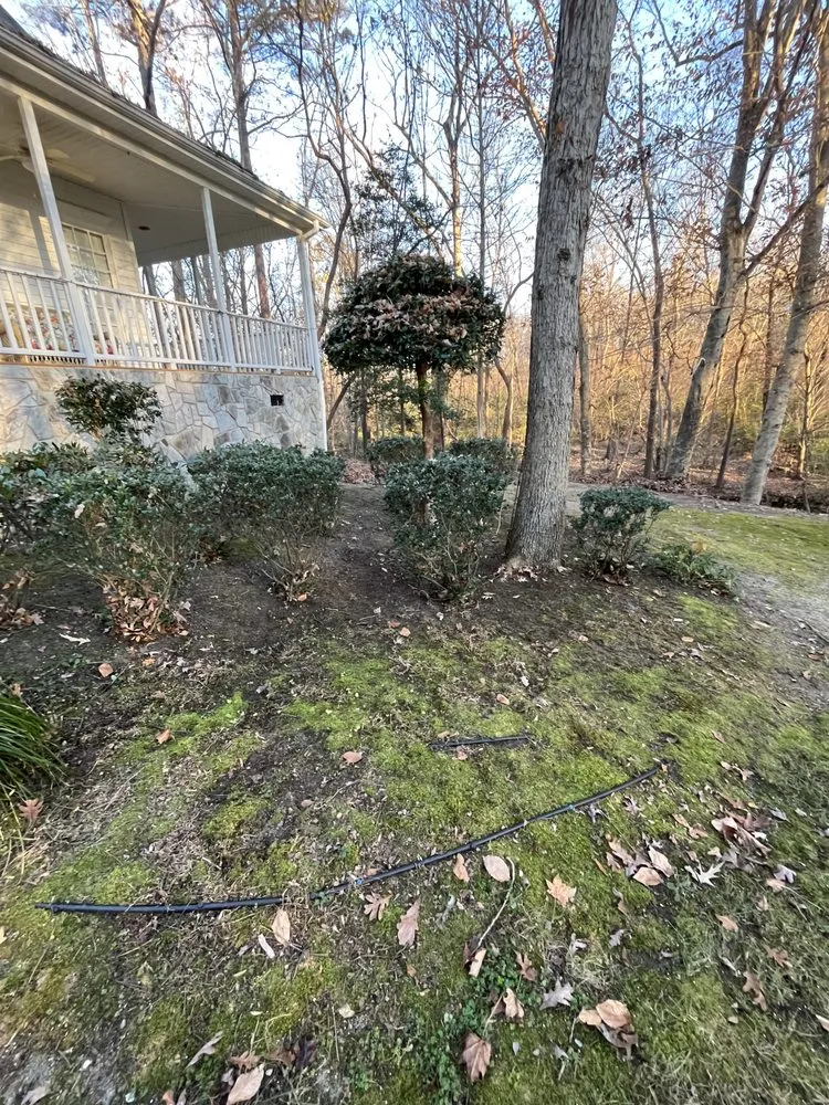 Affordable yard cleanup service in Louisburg, NC by Ridge's Landscaping and Handyman Services