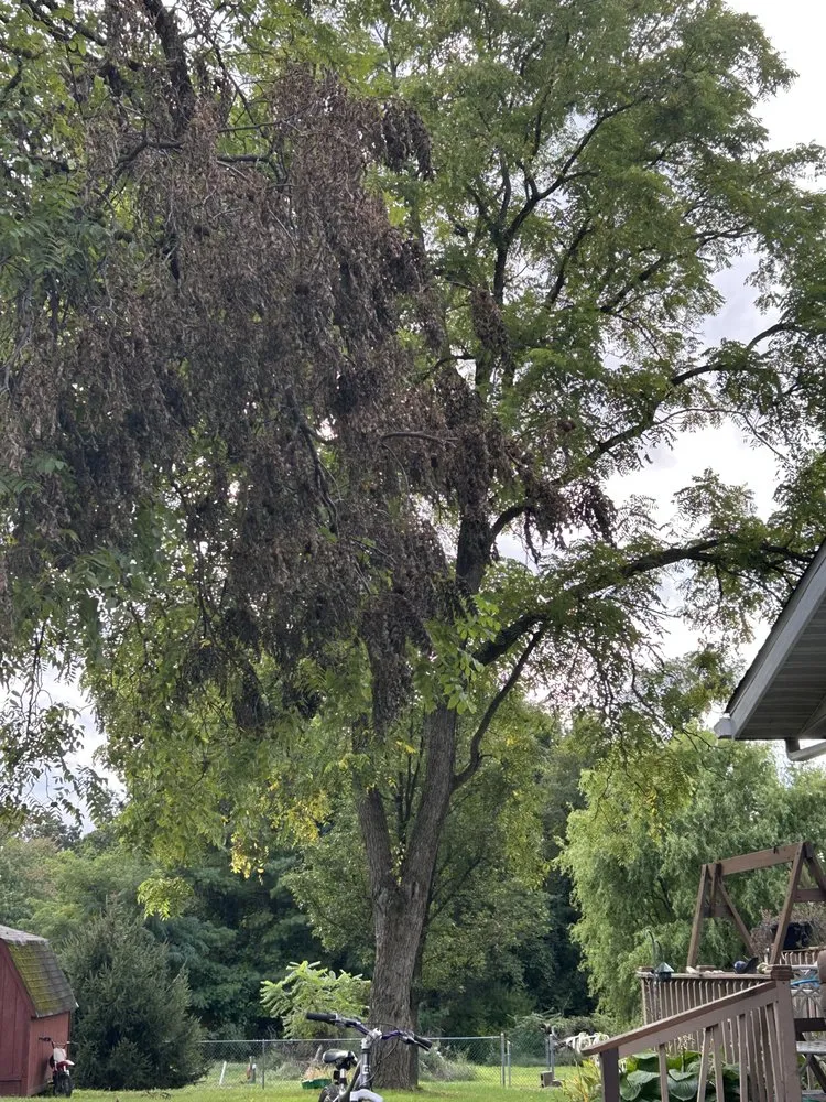 Local residential landscaping in Morgantown, WV - Ridgeview Tree Service & Landscaping