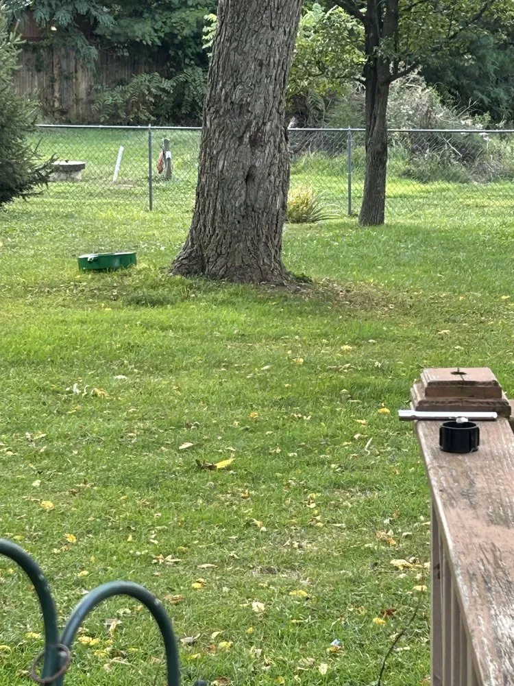 Trusted outdoor landscaping near you across Morgantown, WV - Ridgeview Tree Service & Landscaping