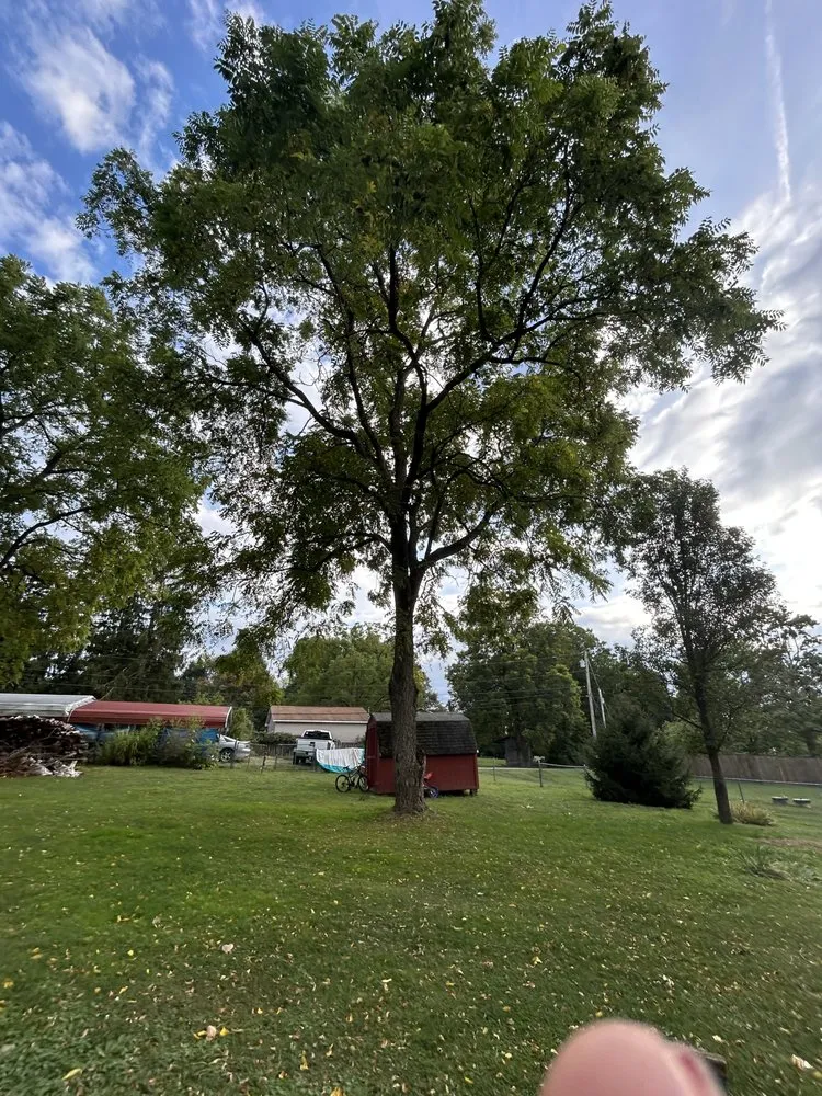 Affordable lawn care service experts serving Morgantown, WV - Ridgeview Tree Service & Landscaping