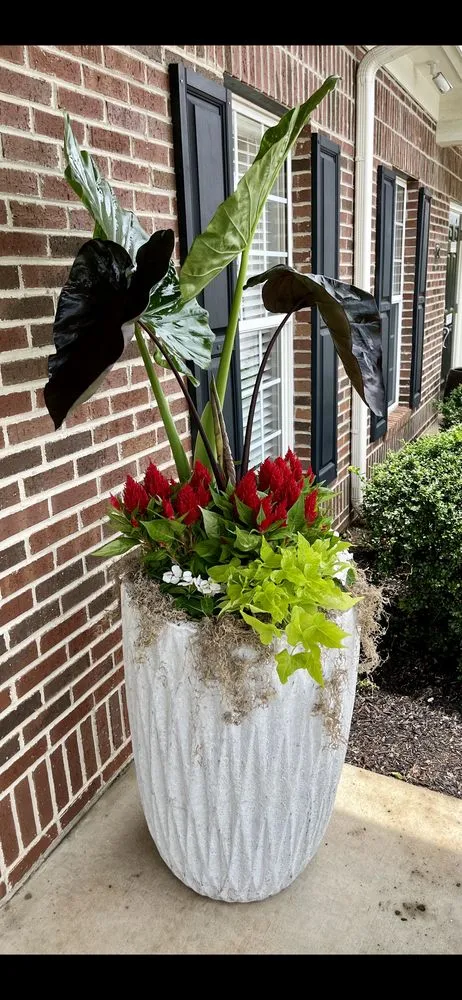 Reliable outdoor landscaping in Simpsonville, SC by Ridgeway Earthworks