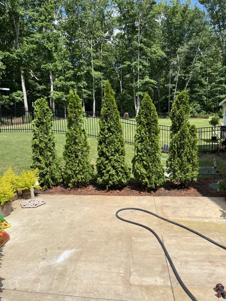 Top-rated yard maintenance near you across Simpsonville, SC - Ridgeway Earthworks