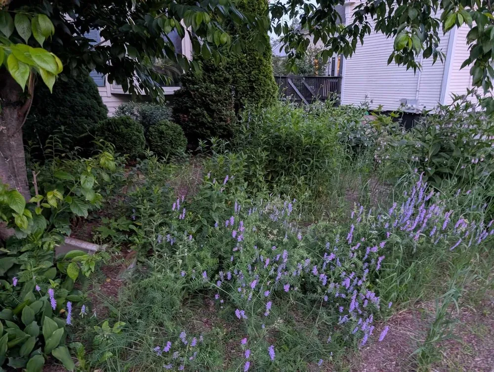 Professional lawn care service for residential properties across Fryeburg, ME - Ridgeway Property Management