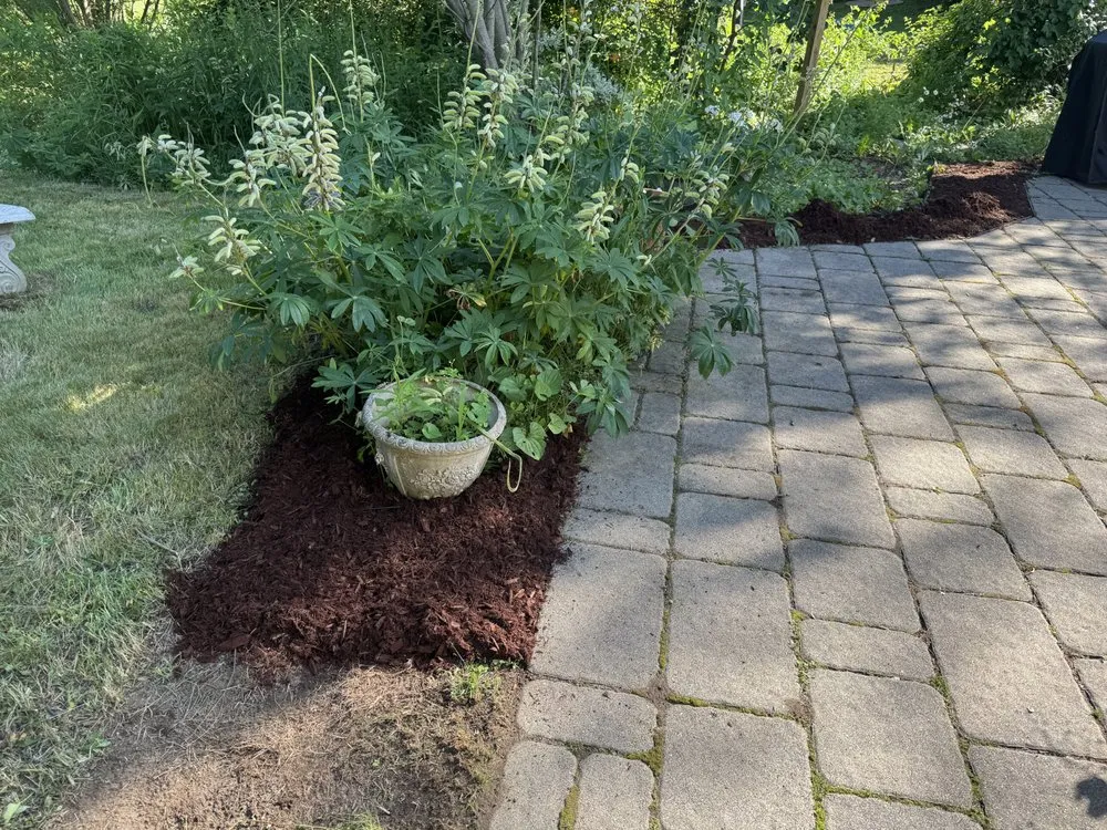 Professional outdoor landscaping in Fryeburg, ME - Ridgeway Property Management