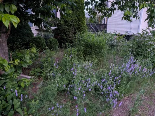 Ridgeway Property Management