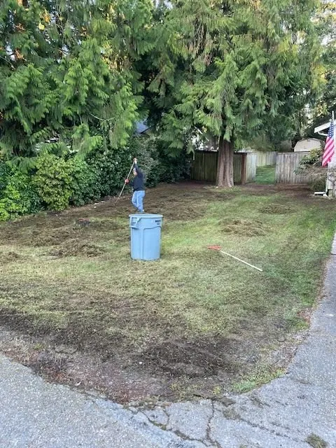 Reliable landscaping services in Kent, WA - Ridgewood Landscaping & Hauling Services