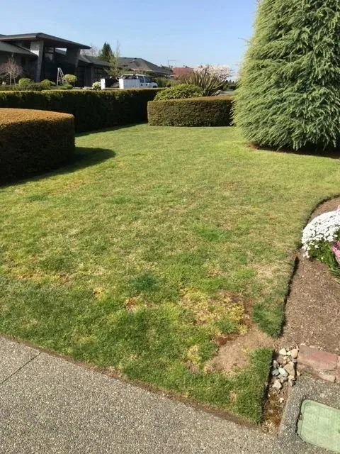 Professional landscape design in Kent, WA by Ridgewood Landscaping & Hauling Services
