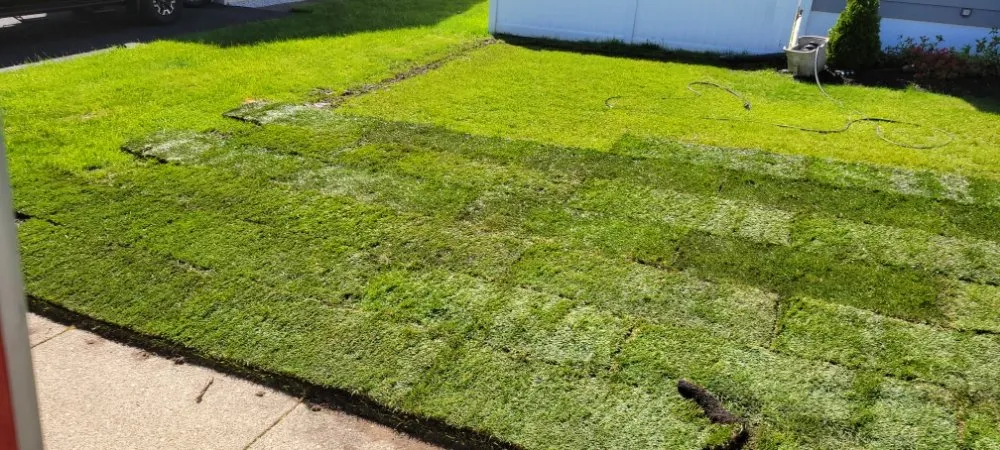 Expert yard maintenance for homes across Toms River, NJ - Ridgewood Lawns and Irrigation