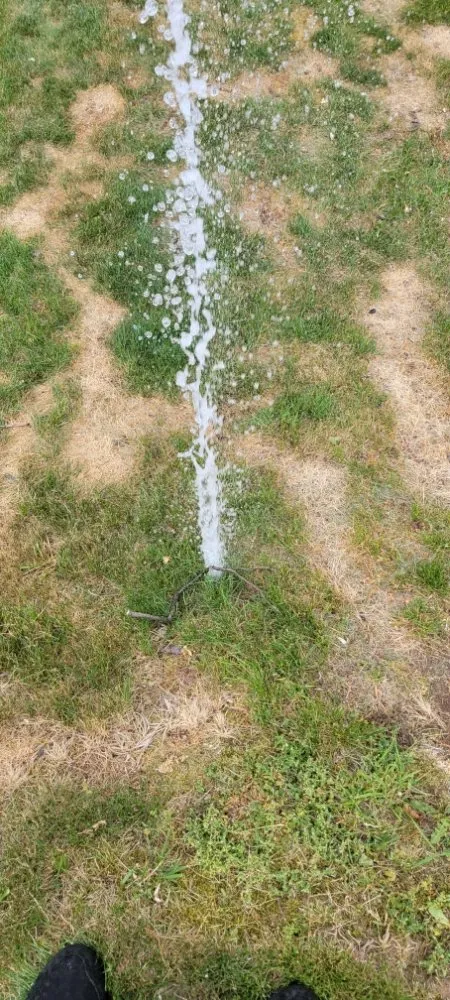 Professional landscape design in Toms River, NJ by Ridgewood Lawns and Irrigation