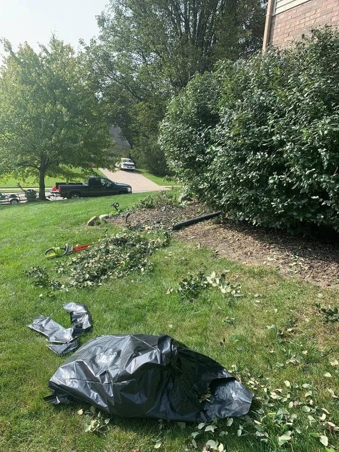 Professional garden landscaping experts serving Florence, KY - Ridgewood Professional Services