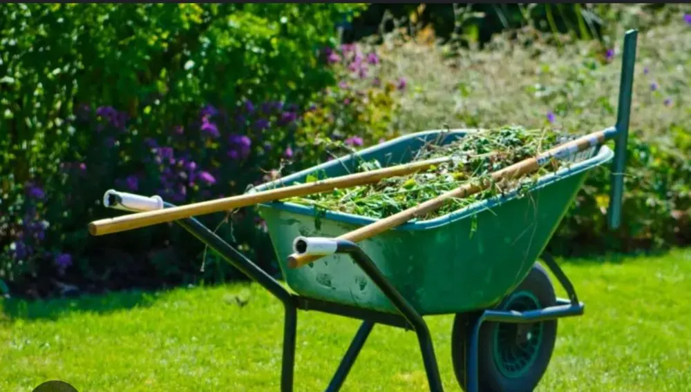 Local lawn mowing service in Hayes, VA - Ridgview Lawn Care