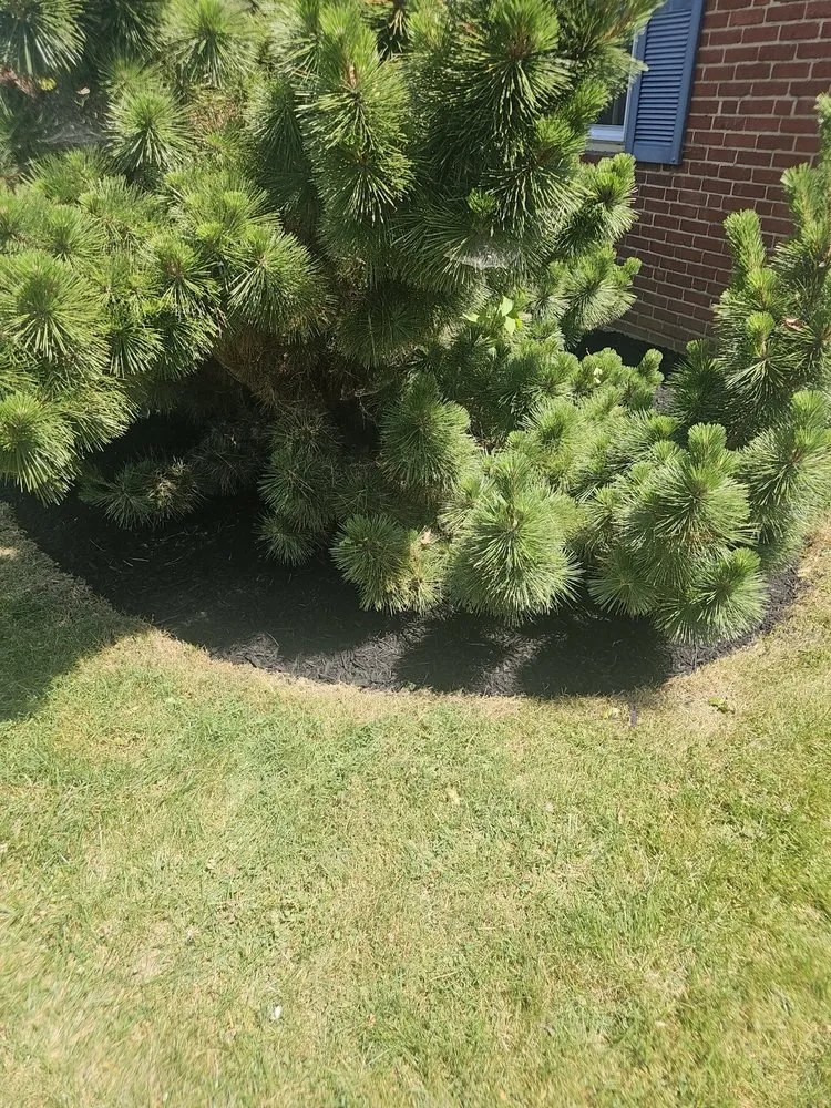 Trusted lawn care service for outdoor upgrades across Baltimore, MD - Ridleys Landscaping