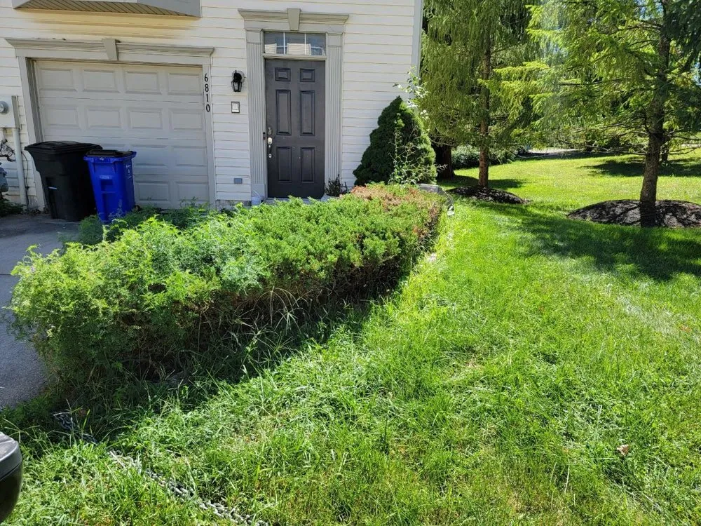 Professional landscape design in Baltimore, MD by Ridleys Landscaping