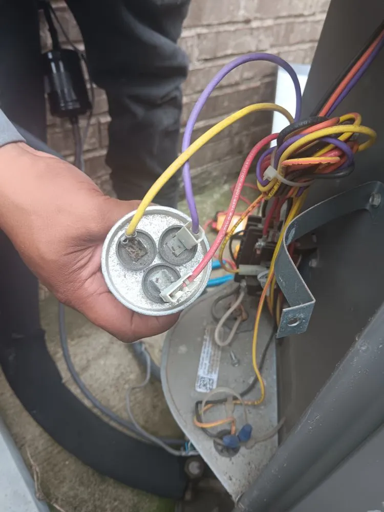 Affordable garden landscaping in Dickinson, TX by Ridley's Service