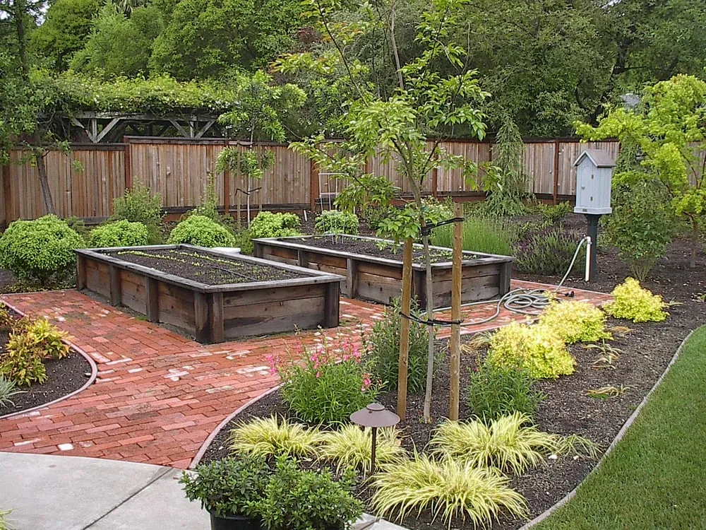 Affordable residential landscaping in Danville, CA - Riedel Precision Landscaping
