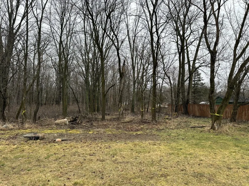 Affordable lawn mowing service in Springport, MI - Riegel’s Property Services