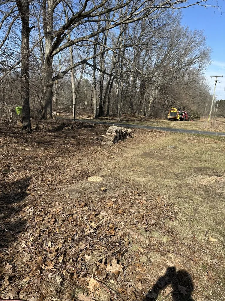 Local landscape installation experts serving Springport, MI - Riegel’s Property Services