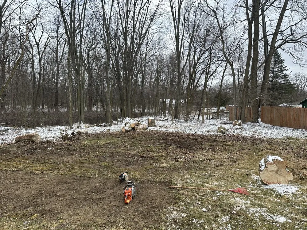 Affordable lawn care service for outdoor upgrades across Springport, MI - Riegel’s Property Services