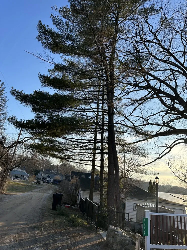 Custom yard cleanup service for beautiful yards in Springport, MI by Riegel’s Property Services