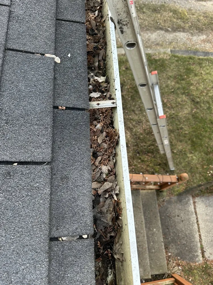 Expert yard maintenance in Springport, MI by Riegel’s Property Services