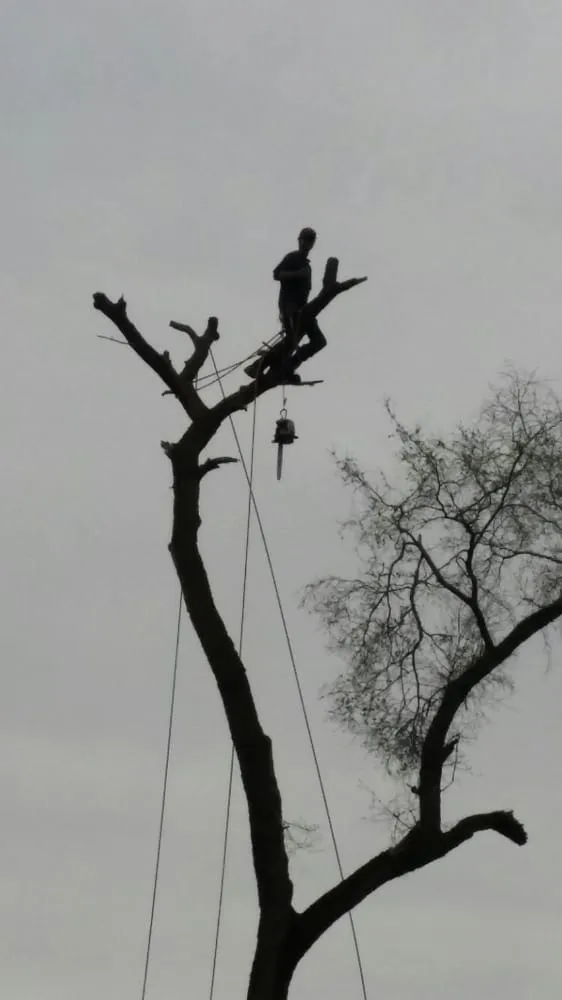 Professional garden landscaping experts serving Wonder Lake, IL - Rieke Tree Service