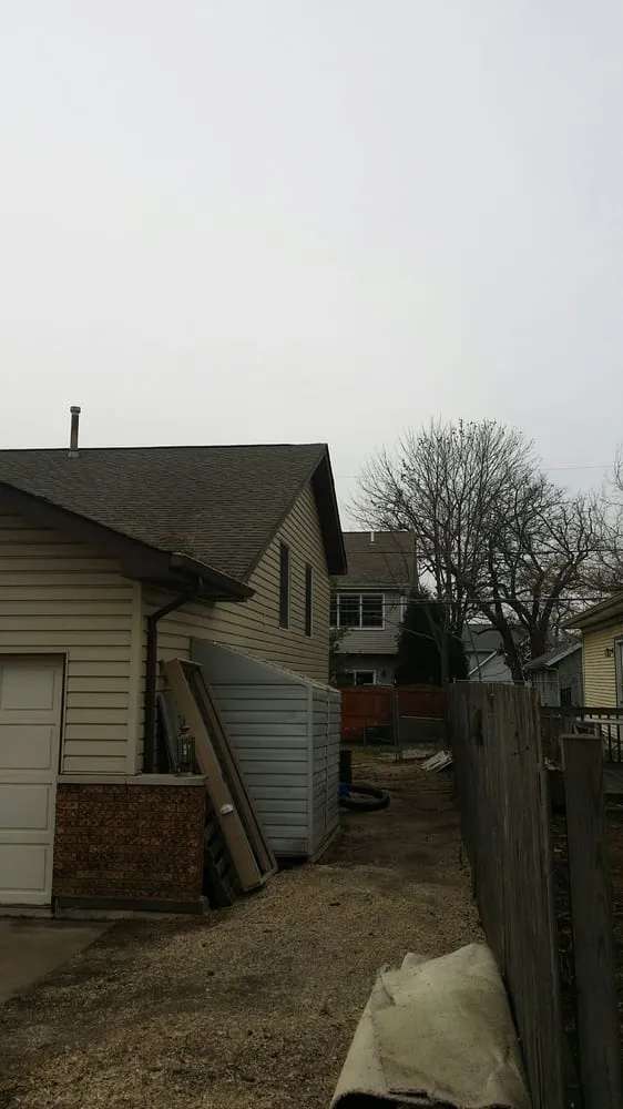 Affordable yard cleanup service in Wonder Lake, IL - Rieke Tree Service