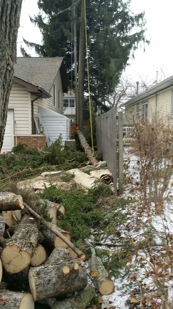 Top-rated garden landscaping in Wonder Lake, IL - Rieke Tree Service