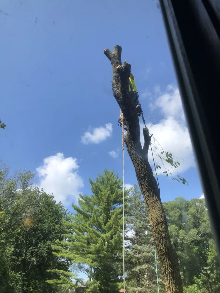 Local outdoor landscaping with custom design in Wonder Lake, IL by Rieke Tree Service